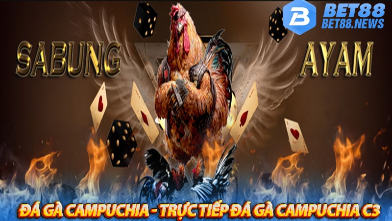 Đá gà campuchia - Trực tiếp đá gà campuchia c3